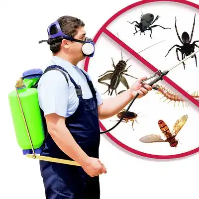pest control Belvidere